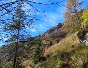 Ai faggi secolari del Menna dal Passo dell’orso ad anello da Zorzone – 27ott25   -  FOTOGALLERY